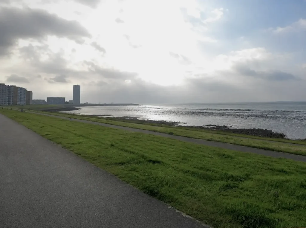 Wandeling langs de dijk van de Westerschelde tijdens een werkpauze als freelance webdeveloper