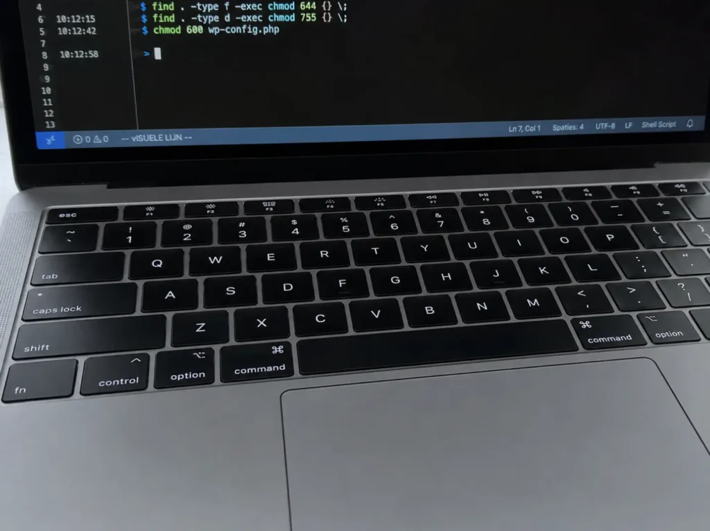 Chmod commando''s in een SSH-terminal voor het instellen van WordPress file permissions op 644, 755 en 600